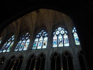 DSC08021.JPG