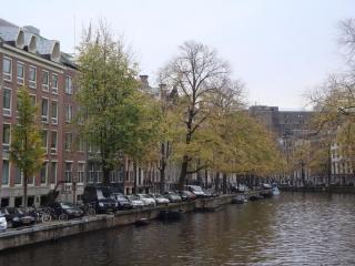 DSC08294.JPG
