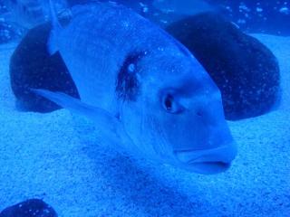 DSC05448.JPG