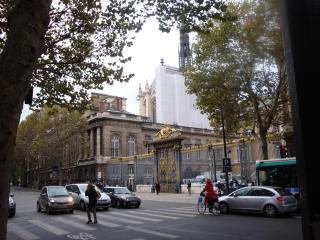 DSC07784.JPG