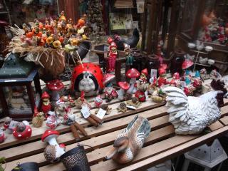 DSC07796.JPG