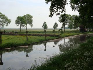 DSC04745.JPG