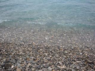 DSC06445.JPG