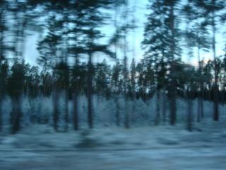 DSC05903.JPG