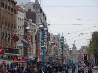 DSC08313.JPG