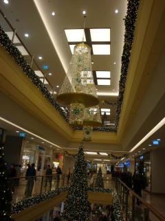 DSC05571.JPG