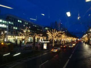 DSC05590.JPG