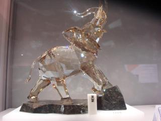 DSC08286.JPG