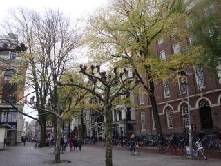 DSC08304.JPG
