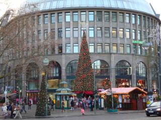 DSC05586.JPG