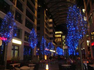 DSC05503.JPG