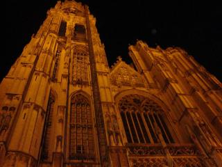 DSC08261.JPG