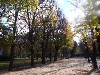 DSC08038.JPG