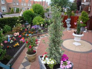 DSC04748.JPG