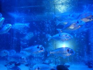 DSC05442.JPG