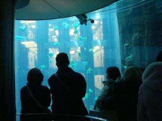 DSC05500.JPG