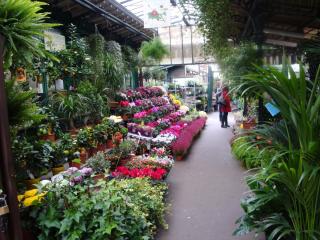 DSC07793.JPG