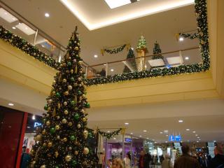 DSC05573.JPG