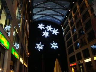 DSC05505.JPG
