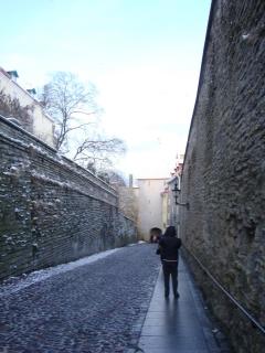 DSC05920.JPG