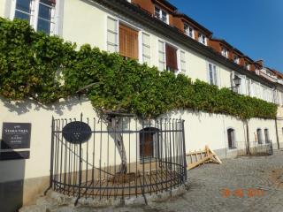 DSC01746.JPG