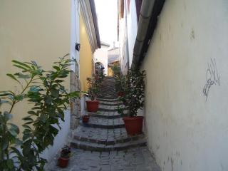 P9210485.JPG