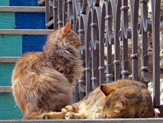 IMG_5032.JPG