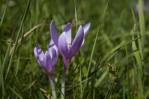 IMG_9344.JPG