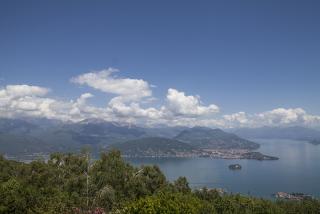 IMG_7859.JPG