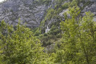 IMG_7324.JPG