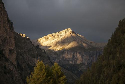 IMG_0090.JPG