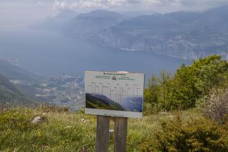 IMG_7394.JPG