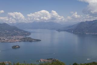 IMG_7851.JPG