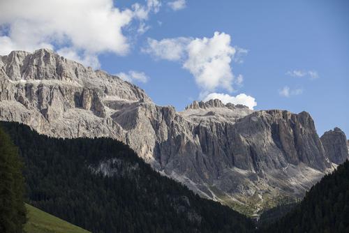 IMG_9859.JPG