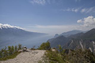 IMG_7503.JPG