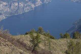 IMG_7008.JPG