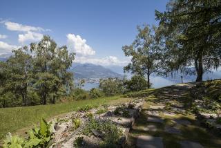 IMG_7864.JPG