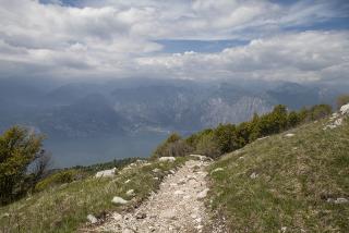 IMG_7413.JPG