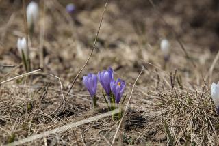 IMG_7126.JPG