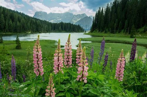 misurina-lake-007.jpg