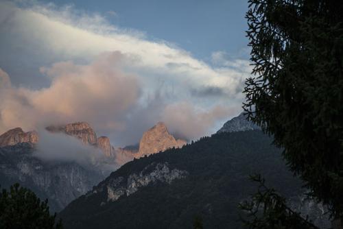 IMG_0363_1.JPG