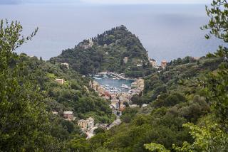 IMG_7990.JPG
