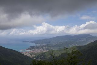 IMG_8412.JPG
