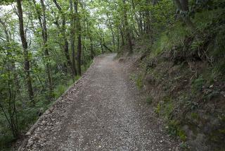 IMG_7978.JPG