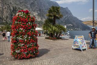 IMG_7529.JPG