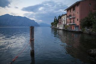 IMG_7238.jpg
