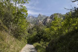 IMG_7479.JPG