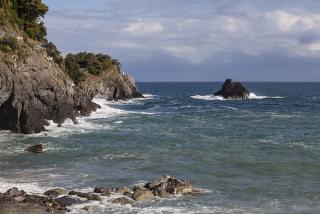 IMG_8363.JPG