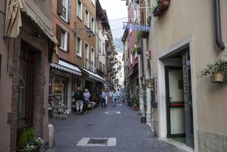 IMG_7431.jpg