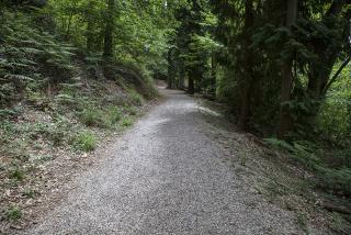 IMG_7981.JPG
